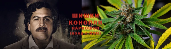 прущие крисы Верхний Тагил