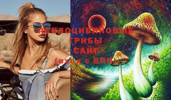 прущие крисы Верхний Тагил