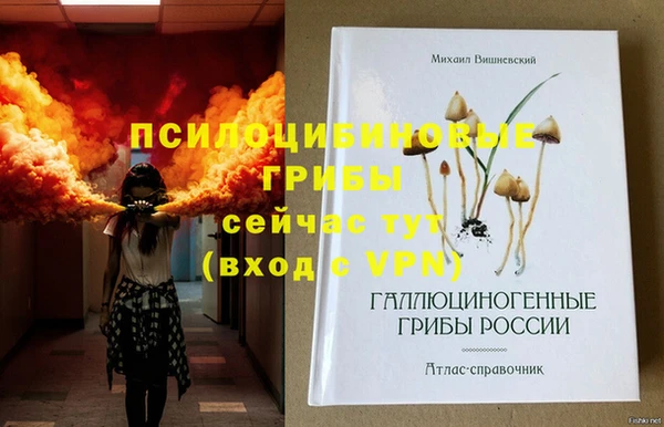Альфа ПВП Верхнеуральск